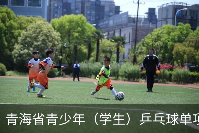 青海省青少年（学生）乒乓球单项赛开赛