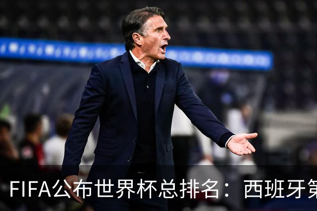 FIFA公布世界杯总排名：西班牙第1，巴西第11，荷兰、德国第17、18